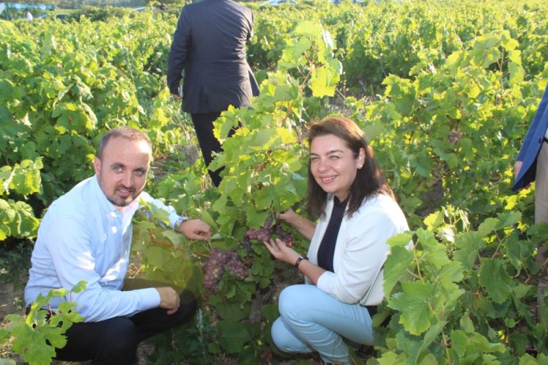 EKILMEMIS TOPRAK KALMAMALI